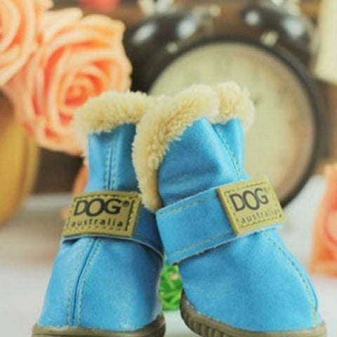 Pet Shoes